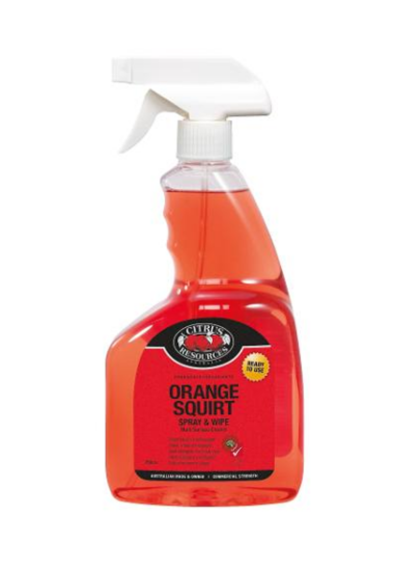 Picture of ORANGE SQUIRT GEN CLEANER 750ML