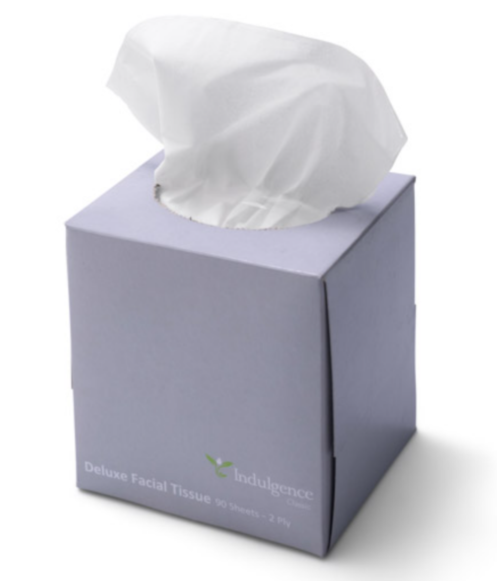 Picture of TISSUES, CUBE 2PLY 90 SHEETS 24/CTN