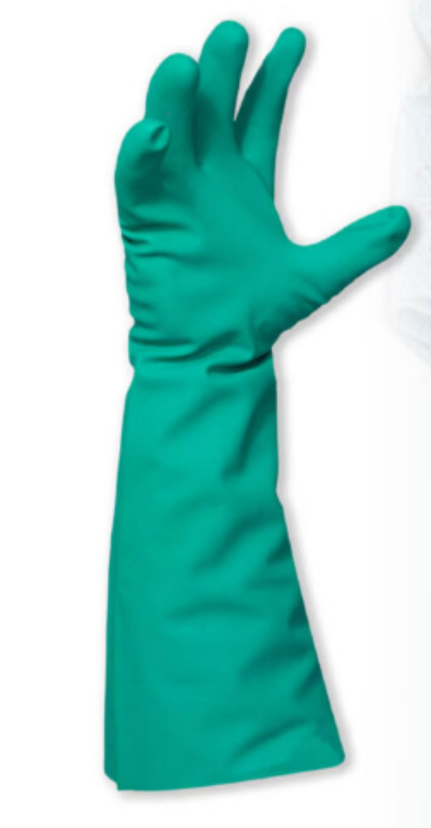 Picture of GLOVES, NITRILE 460- GREEN SOLVENT RESISTANT UNLINED- LARGE - PAIR