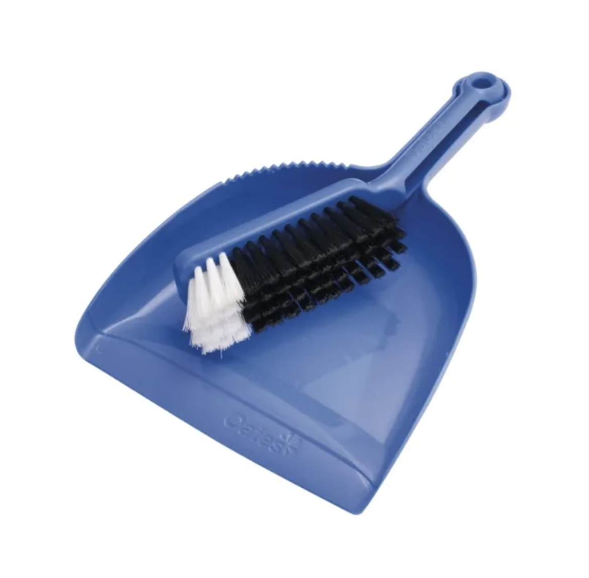 Picture of DUSTPAN & BRUSH SET BLUE
